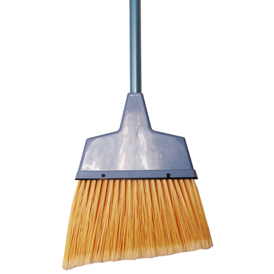 Blue Angle Broom