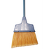 Blue Angle Broom