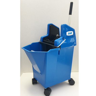 Lady Bug Mop Bucket Combo