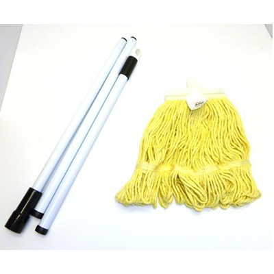 Lady Bug Mop Bucket Combo