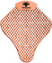 files/Stingray-Mango.jpg