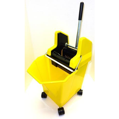 Lady Bug Mop Bucket Combo